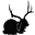 Buckandbaa.com Icon