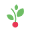 Tuttifrutticlothing.com Icon