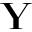Yorkvilles.ca Icon