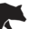 Scout Alarm Icon