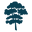 Walnut Hollow Icon