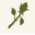 Madrosefoods.com Icon