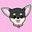 Poshpawzfashion.co.uk Icon