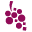 Terrawines.co.uk Icon