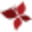 Nature's Flavors Icon