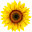 Ali's Organics & Garden Supply Icon