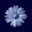 H10 Hotels Icon