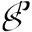 Peterstonewholesale.com Icon