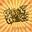 Safetyorange.com Icon