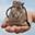 VY Jewelry Icon
