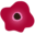 Prettypoppystore.com Icon