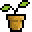 Boondieseeds.com.au Icon
