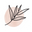 Wallflorashop.com Icon