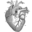 Loveandaesthetics.com Icon