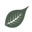 Thisiseden.org Icon