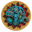 Kotah Bear Icon