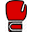 Ringsport Icon