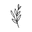 Rippiemae.com Icon