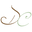 Shopdavidchristophers.com Icon