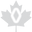 Bownet Sports Canada Icon