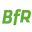 BfR Professional Icon