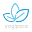 Yogipace.com Icon