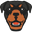 Trenderwear.com Icon