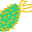 Jackfruitlabel.com Icon