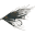 Ashland Fly Shop Icon