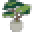 Dandyfarmer.com Icon