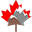 Canadiangreatoutdoors.com Icon