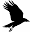 Darkothica.com Icon