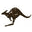 Jacaru.com Icon