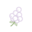 Perfectsupplementsaustralia.com.au Icon