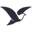 Black Dove Apparel Icon