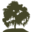 Willow Creek Designs Icon