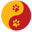 Drbslongevity.com Icon