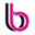 Blingbag.co.in Icon