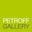 Petroffgallery.com Icon