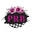Printedroseboutique.com Icon