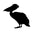 Conchdistrict.com Icon