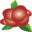 Miraclefruitoil.com Icon