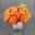 Trappandcompany.com Icon