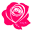 Cholasxchulas.com Icon