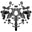 The Nookie Icon