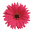 Beauty-depot.ca Icon