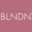 Blndnpro.com Icon