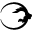 Whitelionathletics.com Icon