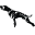 Wearecanineathletes.com Icon