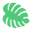 Biohealingplus.com Icon